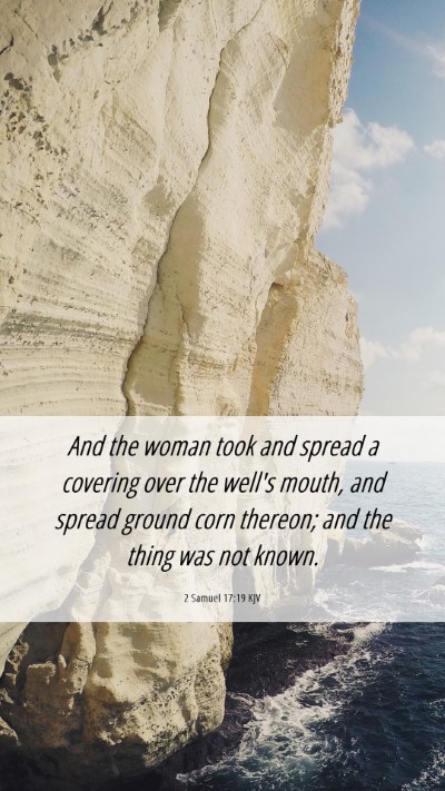 Picture 06 - 2 Samuel 17:19 KJV Mobile Phone Wallpaper - And the woman took and spread a covering over the - Mobile Bible Verse Wallpaper