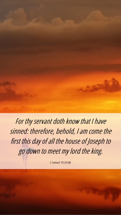 Picture 06 - 2 Samuel 19:20 KJV Mobile Phone Wallpaper - For thy servant doth know that I have sinned: - Mobile Bible Verse Wallpaper