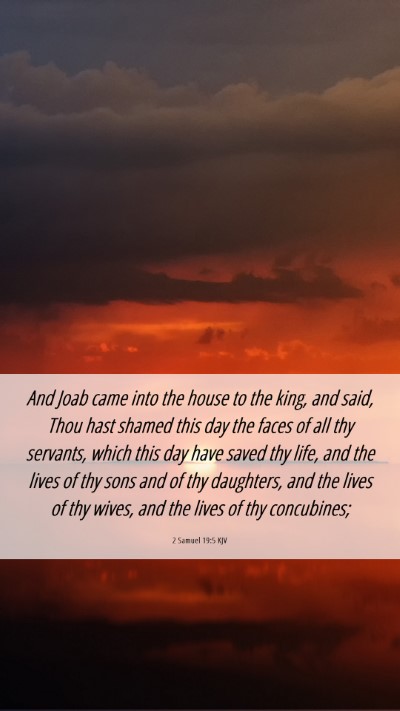 Picture 06 - 2 Samuel 19:5 KJV Mobile Phone Wallpaper - And Joab came into the house to the king, and - Mobile Bible Verse Wallpaper