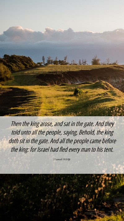 Picture 06 - 2 Samuel 19:8 KJV Mobile Phone Wallpaper - Then the king arose, and sat in the gate. And - Mobile Bible Verse Wallpaper