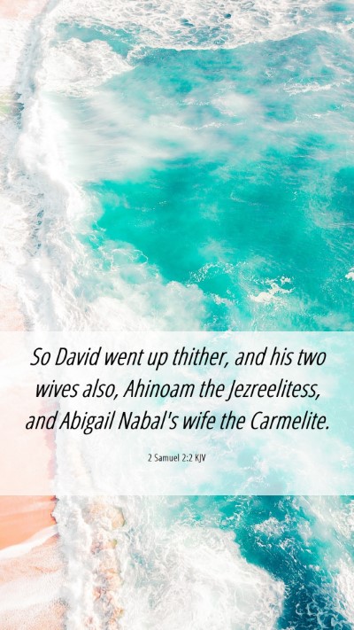 Picture 06 - 2 Samuel 2:2 KJV Mobile Phone Wallpaper - So David went up thither, and his two wives also, - Mobile Bible Verse Wallpaper