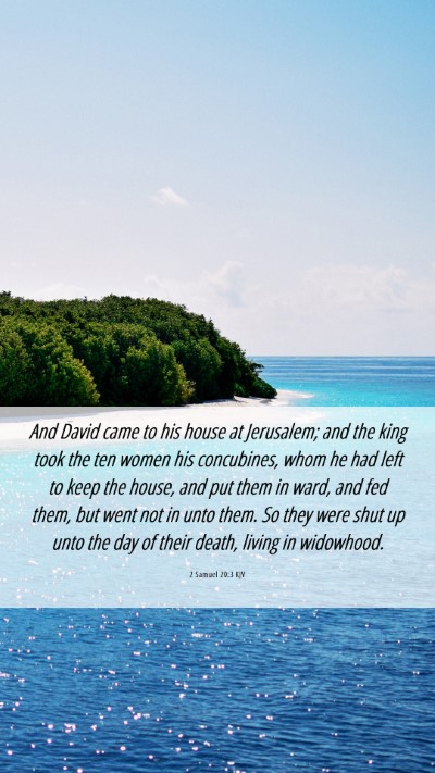 Picture 06 - 2 Samuel 20:3 KJV Mobile Phone Wallpaper - And David came to his house at Jerusalem; and the - Mobile Bible Verse Wallpaper