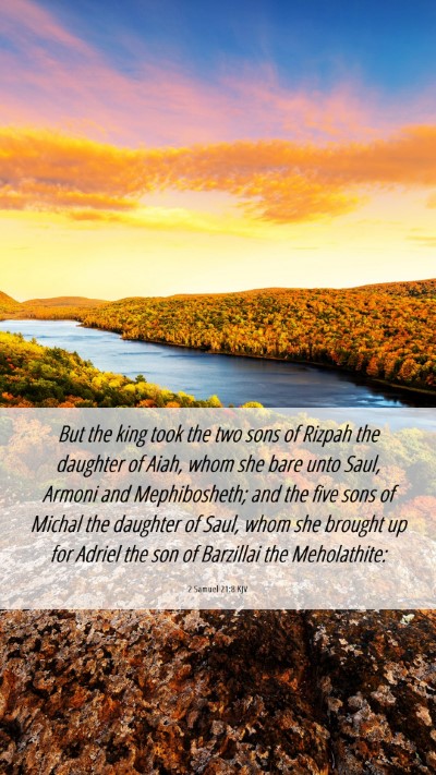 Picture 06 - 2 Samuel 21:8 KJV Mobile Phone Wallpaper - But the king took the two sons of Rizpah the - Mobile Bible Verse Wallpaper