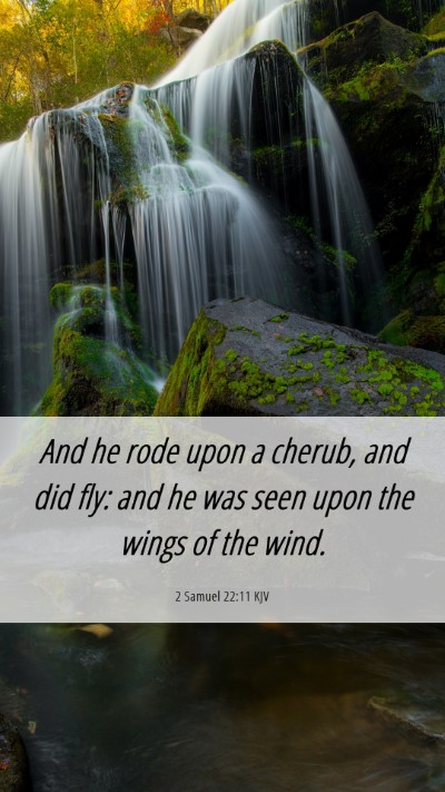 Picture 06 - 2 Samuel 22:11 KJV Mobile Phone Wallpaper - And he rode upon a cherub, and did fly: and he - Mobile Bible Verse Wallpaper