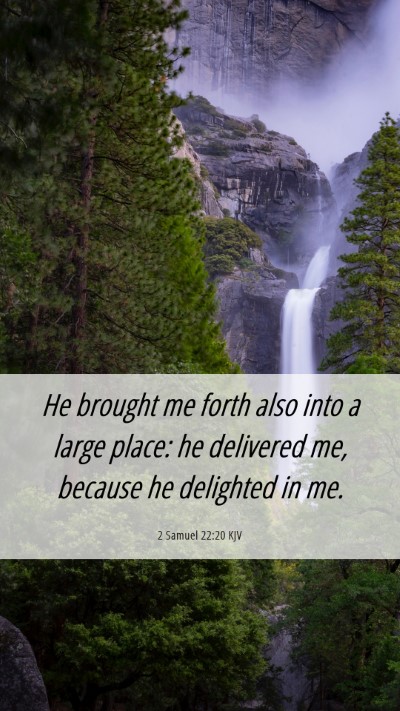 Picture 06 - 2 Samuel 22:20 KJV Mobile Phone Wallpaper - He brought me forth also into a large place: he - Mobile Bible Verse Wallpaper