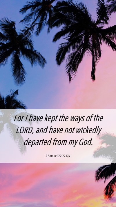 Picture 06 - 2 Samuel 22:22 KJV Mobile Phone Wallpaper - For I have kept the ways of the LORD, and have - Mobile Bible Verse Wallpaper