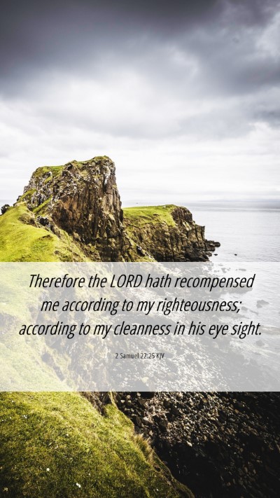Picture 06 - 2 Samuel 22:25 KJV Mobile Phone Wallpaper - Therefore the LORD hath recompensed me according - Mobile Bible Verse Wallpaper