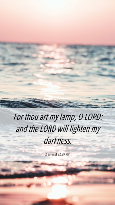Picture 06 - 2 Samuel 22:29 KJV Mobile Phone Wallpaper - For thou art my lamp, O LORD: and the LORD will - Mobile Bible Verse Wallpaper