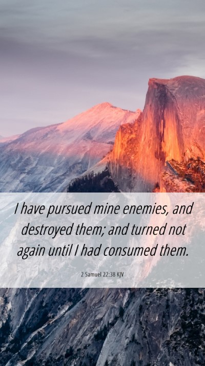 Picture 06 - 2 Samuel 22:38 KJV Mobile Phone Wallpaper - I have pursued mine enemies, and destroyed them; - Mobile Bible Verse Wallpaper