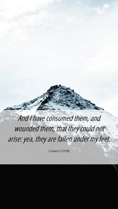 Picture 06 - 2 Samuel 22:39 KJV Mobile Phone Wallpaper - And I have consumed them, and wounded them, that - Mobile Bible Verse Wallpaper