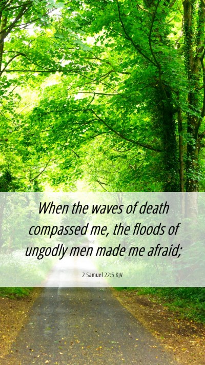 Picture 06 - 2 Samuel 22:5 KJV Mobile Phone Wallpaper - When the waves of death compassed me, the floods - Mobile Bible Verse Wallpaper