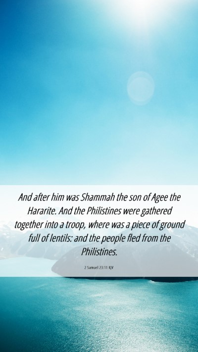 Picture 06 - 2 Samuel 23:11 KJV Mobile Phone Wallpaper - And after him was Shammah the son of Agee the - Mobile Bible Verse Wallpaper