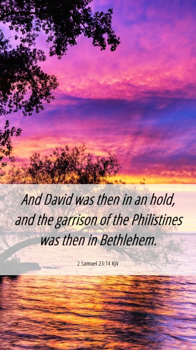 Picture 06 - 2 Samuel 23:14 KJV Mobile Phone Wallpaper - And David was then in an hold, and the garrison - Mobile Bible Verse Wallpaper