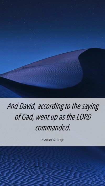 Picture 06 - 2 Samuel 24:19 KJV Mobile Phone Wallpaper - And David, according to the saying of Gad, went - Mobile Bible Verse Wallpaper