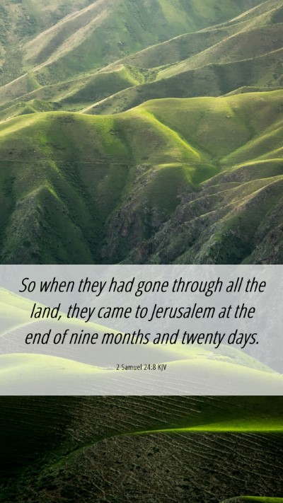 Picture 06 - 2 Samuel 24:8 KJV Mobile Phone Wallpaper - So when they had gone through all the land, they - Mobile Bible Verse Wallpaper