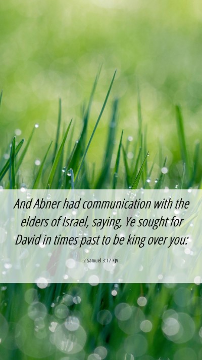 Picture 06 - 2 Samuel 3:17 KJV Mobile Phone Wallpaper - And Abner had communication with the elders of - Mobile Bible Verse Wallpaper