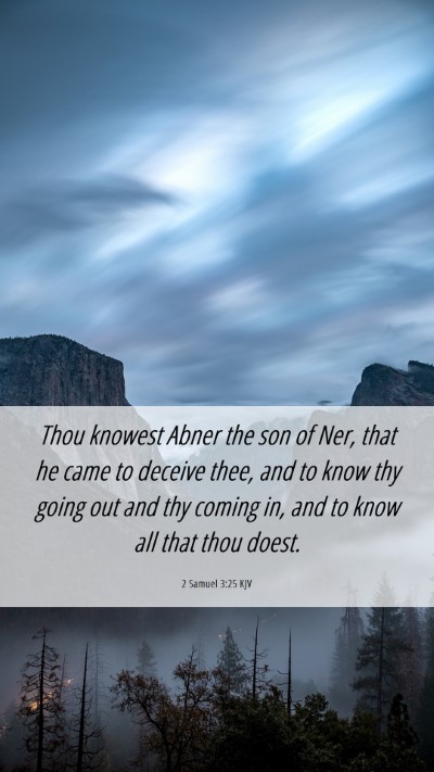 Picture 06 - 2 Samuel 3:25 KJV Mobile Phone Wallpaper - Thou knowest Abner the son of Ner, that he came - Mobile Bible Verse Wallpaper