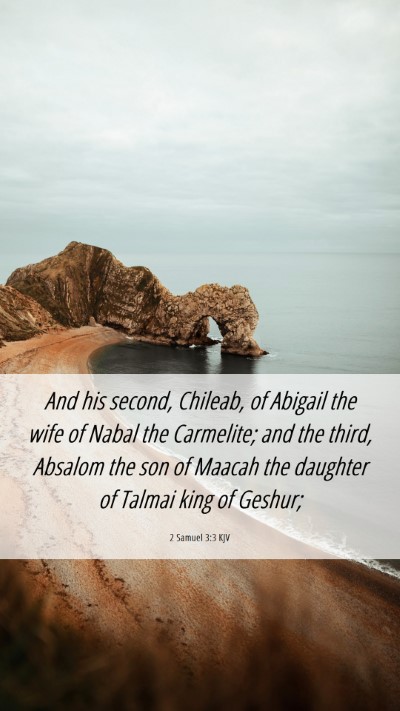 Picture 06 - 2 Samuel 3:3 KJV Mobile Phone Wallpaper - And his second, Chileab, of Abigail the wife of - Mobile Bible Verse Wallpaper