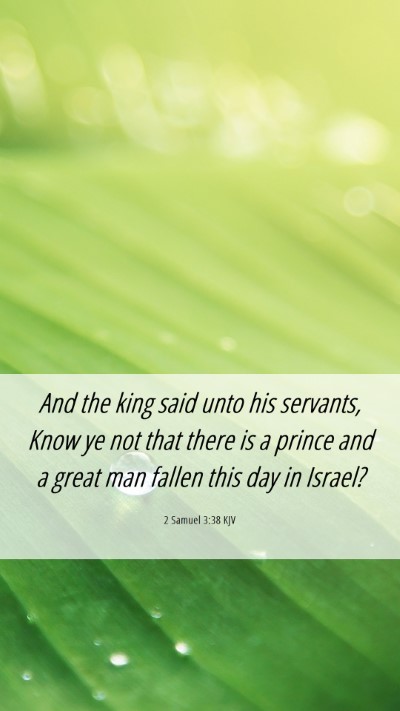 Picture 06 - 2 Samuel 3:38 KJV Mobile Phone Wallpaper - And the king said unto his servants, Know ye not - Mobile Bible Verse Wallpaper
