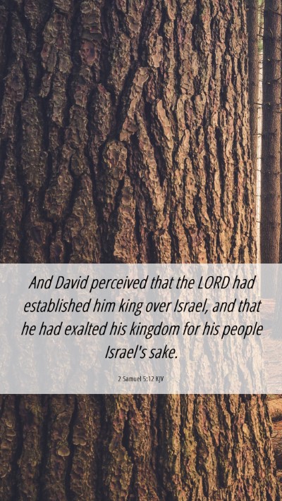 Picture 06 - 2 Samuel 5:12 KJV Mobile Phone Wallpaper - And David perceived that the LORD had established - Mobile Bible Verse Wallpaper