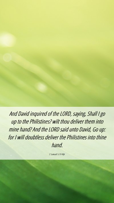 Picture 06 - 2 Samuel 5:19 KJV Mobile Phone Wallpaper - And David inquired of the LORD, saying, Shall I - Mobile Bible Verse Wallpaper