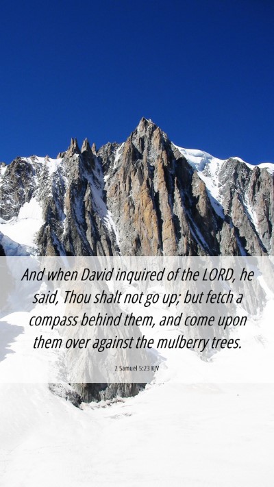 Picture 06 - 2 Samuel 5:23 KJV Mobile Phone Wallpaper - And when David inquired of the LORD, he said, - Mobile Bible Verse Wallpaper
