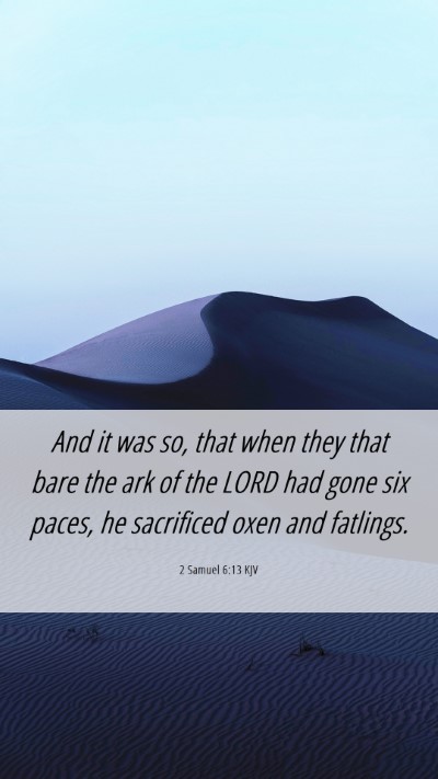 Picture 06 - 2 Samuel 6:13 KJV Mobile Phone Wallpaper - And it was so, that when they that bare the ark - Mobile Bible Verse Wallpaper