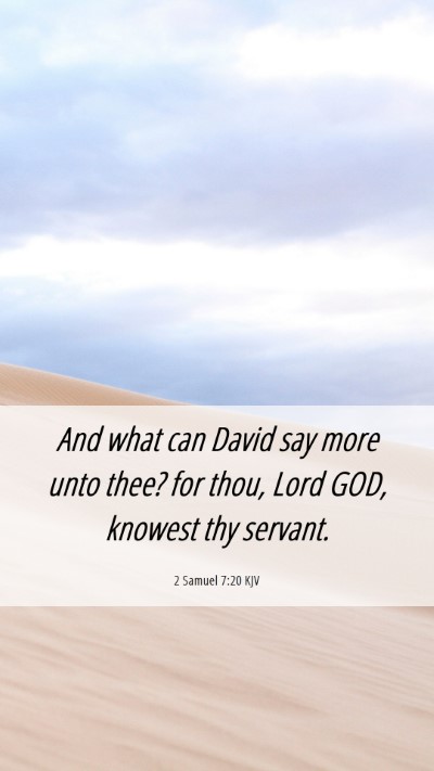 Picture 06 - 2 Samuel 7:20 KJV Mobile Phone Wallpaper - And what can David say more unto thee? for thou, - Mobile Bible Verse Wallpaper