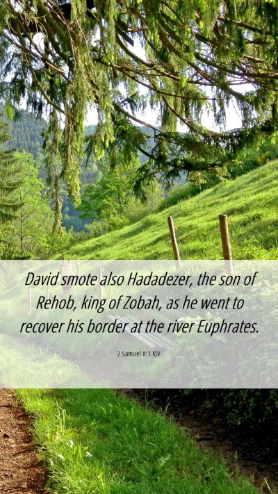 Picture 06 - 2 Samuel 8:3 KJV Mobile Phone Wallpaper - David smote also Hadadezer, the son of Rehob, - Mobile Bible Verse Wallpaper
