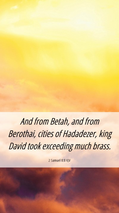 Picture 06 - 2 Samuel 8:8 KJV Mobile Phone Wallpaper - And from Betah, and from Berothai, cities of - Mobile Bible Verse Wallpaper