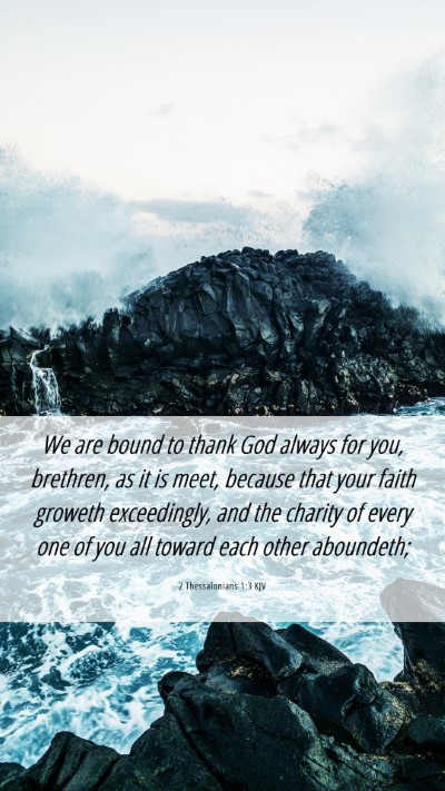 Picture 06 - 2 Thessalonians 1:3 KJV Mobile Phone Wallpaper - We are bound to thank God always for you, - Mobile Bible Verse Wallpaper