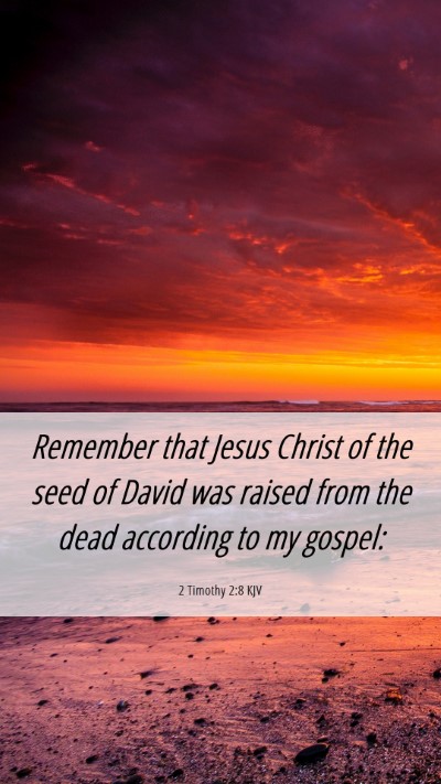 Picture 06 - 2 Timothy 2:8 KJV Mobile Phone Wallpaper - Remember that Jesus Christ of the seed of David - Mobile Bible Verse Wallpaper