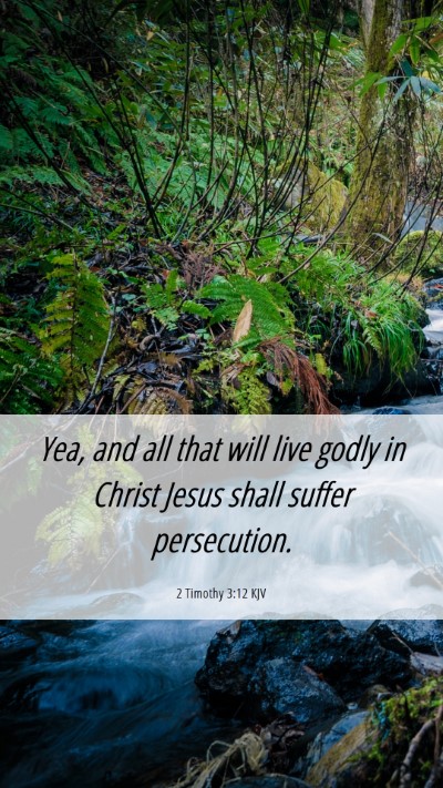 Picture 06 - 2 Timothy 3:12 KJV Mobile Phone Wallpaper - Yea, and all that will live godly in Christ Jesus - Mobile Bible Verse Wallpaper