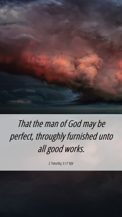 Picture 06 - 2 Timothy 3:17 KJV Mobile Phone Wallpaper - That the man of God may be perfect, throughly - Mobile Bible Verse Wallpaper