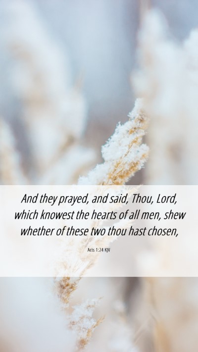 Picture 06 - Acts 1:24 KJV Mobile Phone Wallpaper - And they prayed, and said, Thou, Lord, which - Mobile Bible Verse Wallpaper