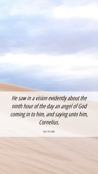 Picture 06 - Acts 10:3 KJV Mobile Phone Wallpaper - He saw in a vision evidently about the ninth hour - Mobile Bible Verse Wallpaper