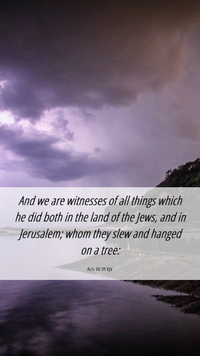 Picture 06 - Acts 10:39 KJV Mobile Phone Wallpaper - And we are witnesses of all things which he did - Mobile Bible Verse Wallpaper