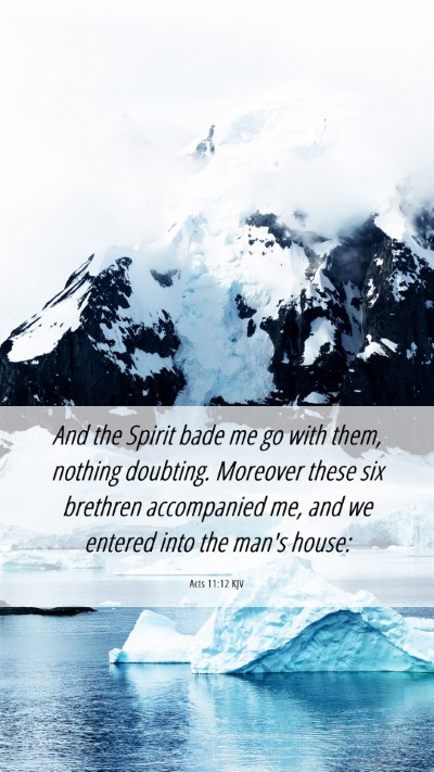 Picture 06 - Acts 11:12 KJV Mobile Phone Wallpaper - And the Spirit bade me go with them, nothing - Mobile Bible Verse Wallpaper