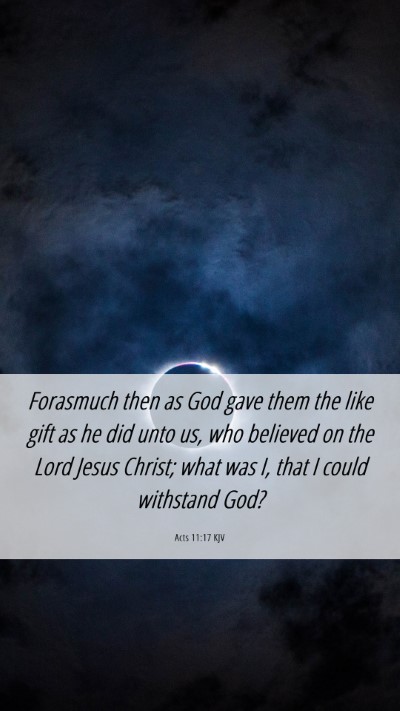 Picture 06 - Acts 11:17 KJV Mobile Phone Wallpaper - Forasmuch then as God gave them the like gift as - Mobile Bible Verse Wallpaper