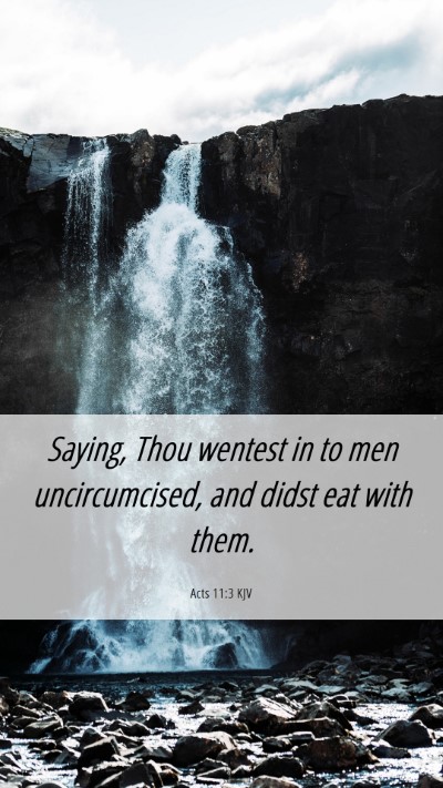 Picture 06 - Acts 11:3 KJV Mobile Phone Wallpaper - Saying, Thou wentest in to men uncircumcised, and - Mobile Bible Verse Wallpaper