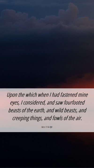 Picture 06 - Acts 11:6 KJV Mobile Phone Wallpaper - Upon the which when I had fastened mine eyes, I - Mobile Bible Verse Wallpaper