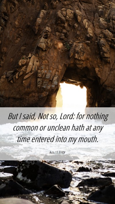 Picture 06 - Acts 11:8 KJV Mobile Phone Wallpaper - But I said, Not so, Lord: for nothing common or - Mobile Bible Verse Wallpaper
