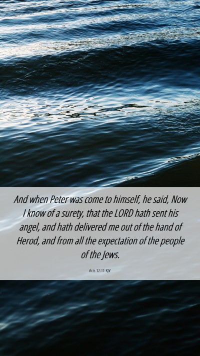 Picture 06 - Acts 12:11 KJV Mobile Phone Wallpaper - And when Peter was come to himself, he said, Now - Mobile Bible Verse Wallpaper