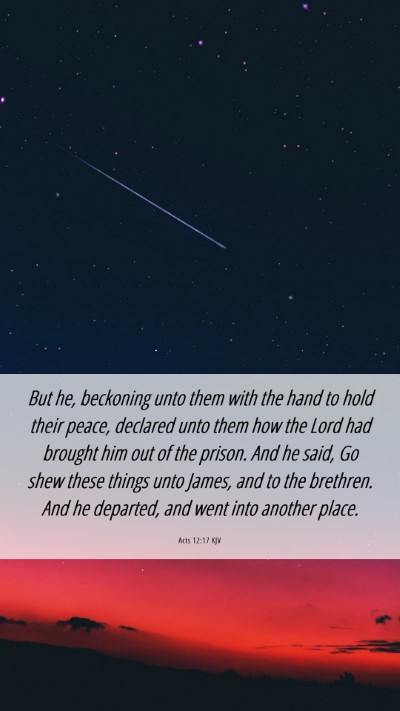 Picture 06 - Acts 12:17 KJV Mobile Phone Wallpaper - But he, beckoning unto them with the hand to hold - Mobile Bible Verse Wallpaper