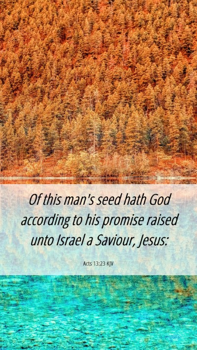 Picture 06 - Acts 13:23 KJV Mobile Phone Wallpaper - Of this man's seed hath God according to his - Mobile Bible Verse Wallpaper