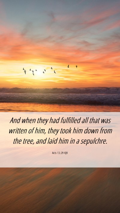 Picture 06 - Acts 13:29 KJV Mobile Phone Wallpaper - And when they had fulfilled all that was written - Mobile Bible Verse Wallpaper