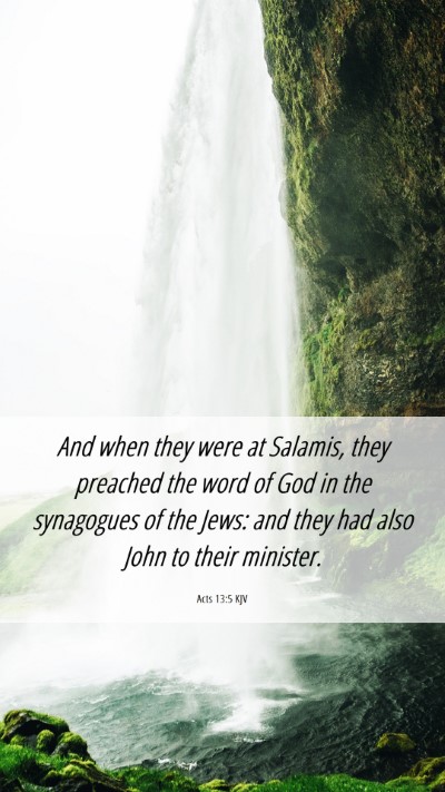 Picture 06 - Acts 13:5 KJV Mobile Phone Wallpaper - And when they were at Salamis, they preached the - Mobile Bible Verse Wallpaper