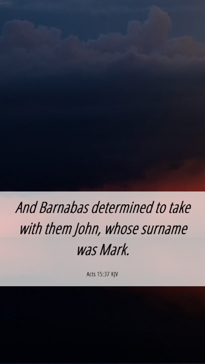 Picture 06 - Acts 15:37 KJV Mobile Phone Wallpaper - And Barnabas determined to take with them John, - Mobile Bible Verse Wallpaper