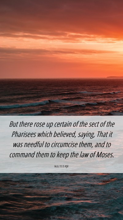 Picture 06 - Acts 15:5 KJV Mobile Phone Wallpaper - But there rose up certain of the sect of the - Mobile Bible Verse Wallpaper