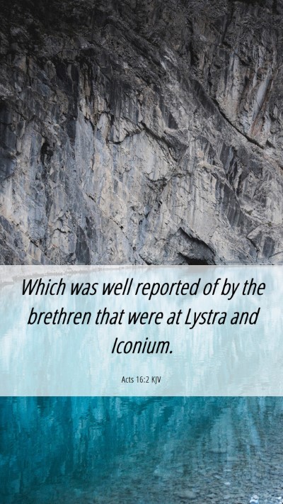 Picture 06 - Acts 16:2 KJV Mobile Phone Wallpaper - Which was well reported of by the brethren that - Mobile Bible Verse Wallpaper